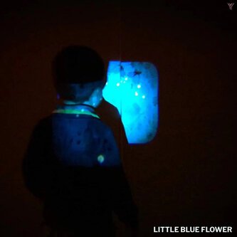 Little Blue Flower