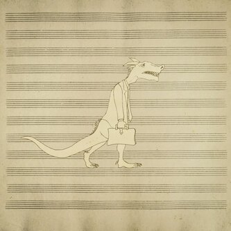 The little dragon