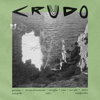 Crudo