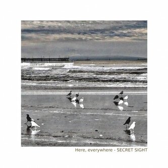 Copertina dell'album Here,everywhere, di Secret Sight