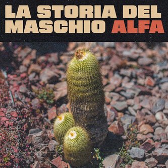La storia del maschio alfa