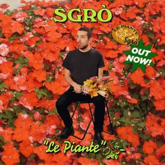 LE PIANTE