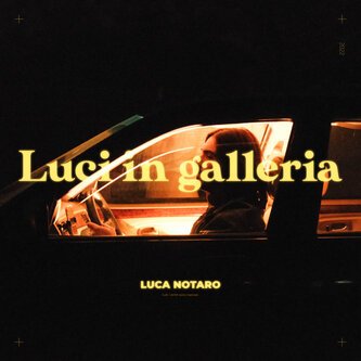 Copertina dell'album Luci in galleria, di Luca Notaro