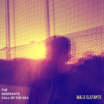 Mare Elefante