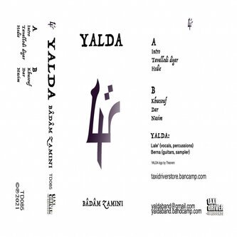 Badam zamini