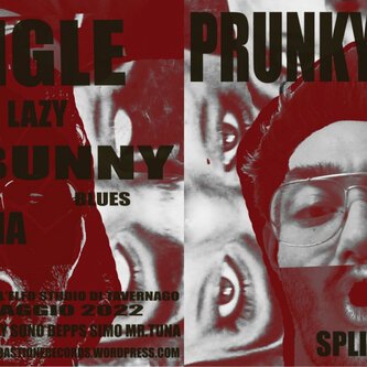 Prunky Junky split(1)