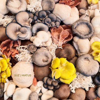 Copertina dell'album HIATUS, di Suz