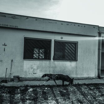 Copertina dell'album Teppisti In Azione Nella Notte, di duocane