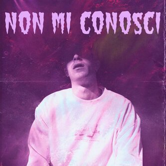 Copertina dell'album Non Mi Conosci, di Malogrido