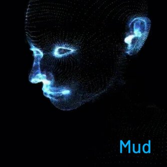 Mud
