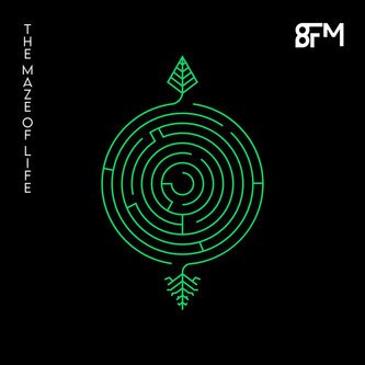 Copertina dell'album The Maze of Life, di 8FM