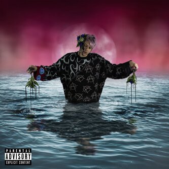 Copertina dell'album Nel Fiore Dei Miei Danni (feat. XdiemondX), di Fløp