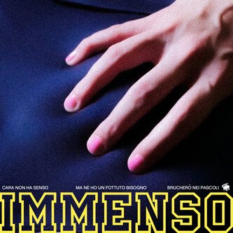 IMMENSO