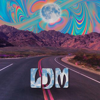 LDM