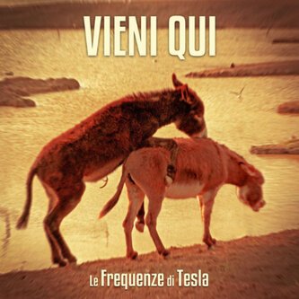 Vieni qui