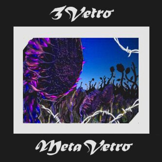 METAVETRO