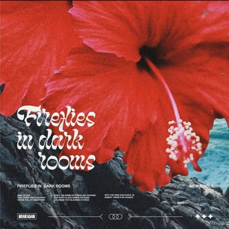 Copertina dell'album Fireflies in Dark Rooms, di Sharasad