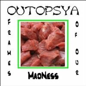 Frames Of Our Madness