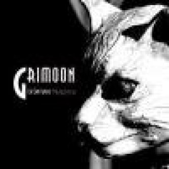 Copertina dell'album La Lanterne Magique (CD+DVD), di Grimoon