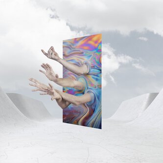 Copertina dell'album (S)HIT, di FOGG