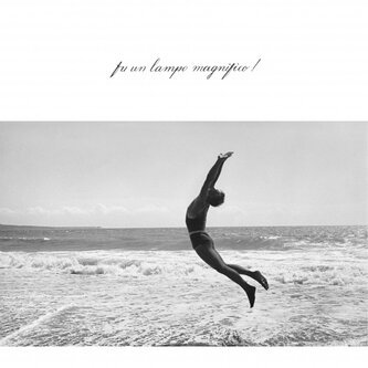 Copertina dell'album Fu un lampo magnifico!, di Stefano Orfeo Meneghetti