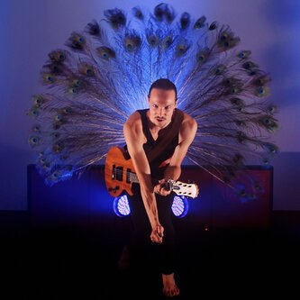 Copertina dell'album Shy Peacock, di Nic Gyalson