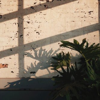 Flow on (feat Flingu)