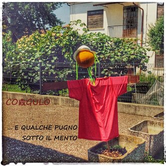 ... E QUALCHE PUGNO SOTTO IL MENTO