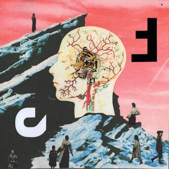 Copertina dell'album Deliria, di Aquerell