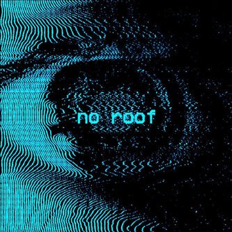 NO ROOF