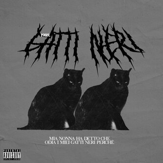 Gatti Neri