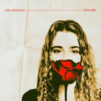 Rosa Selvatica