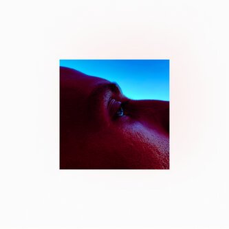 Copertina dell'album Empty Walls, di nazario di liberto