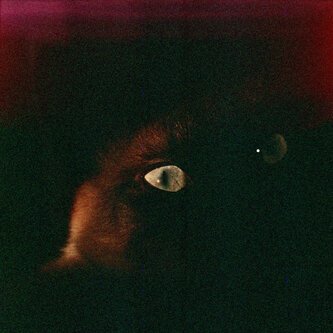 Copertina dell'album le mie, le tue, stregonerie, di avec-moi