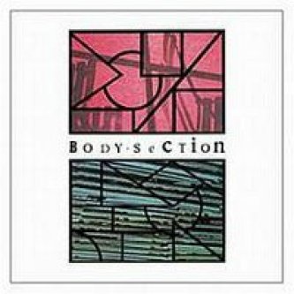  Body Section