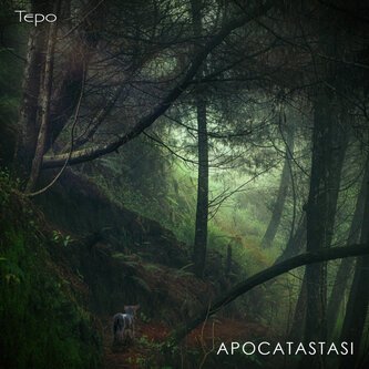 Apocatastasi