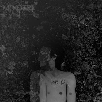 Copertina dell'album BRYO, di Mixotri