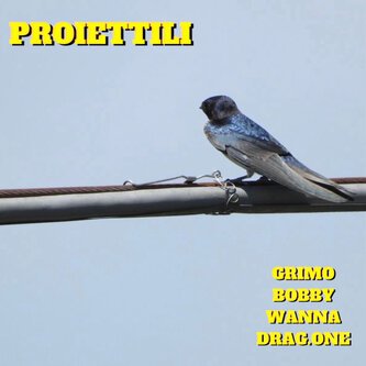 Proiettili (Feat. Bobby Wanna)
