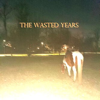 Copertina dell'album The wasted years, di the end of june