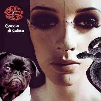 Copertina dell'album Goccia di saliva, di Le Piume di Morris