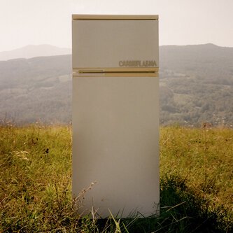 Copertina dell'album Cardioplasma, di Caledune 