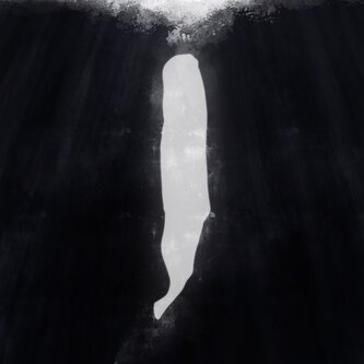 Copertina dell'album Il sonno delle balene, di phomea