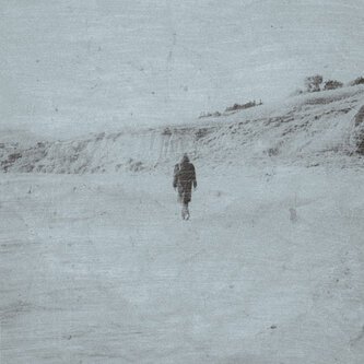 Alberi bianchi