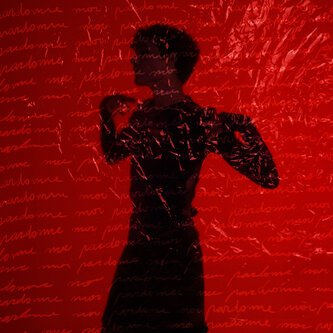 Copertina dell'album PARDONNE-MOI, di HERMES