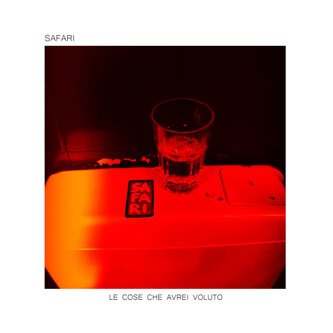 Le Cose che Avrei Voluto