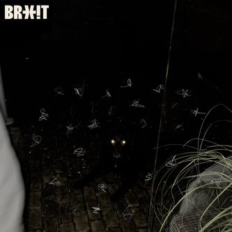 Copertina dell'album Ansia, di BRX!T