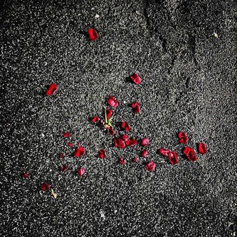 Copertina dell'album non mi dire basta, di CRETA