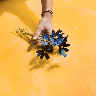 Copertina dell'album margherite blue, di Jigamma