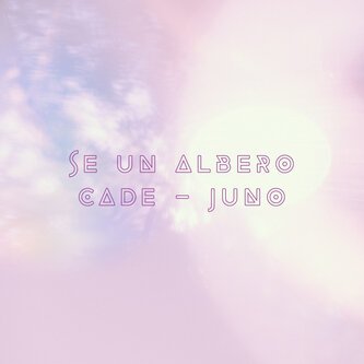 Copertina dell'album Se un albero cade, di Juno