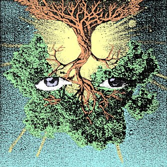 Copertina dell'album Radice senza fine, di Riccardo Morandini